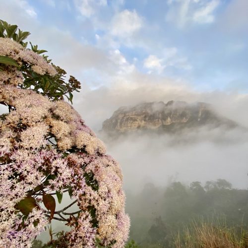 Vale do Pati